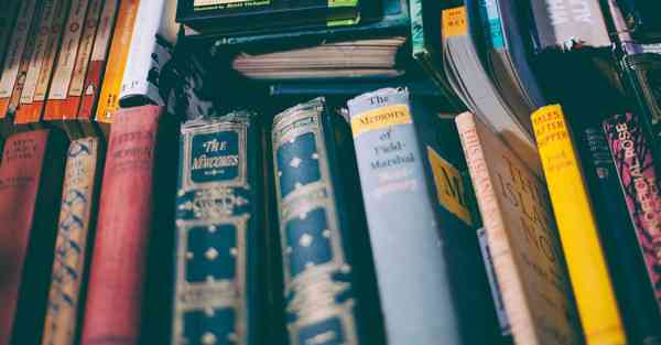 小成本网剧一般投资多少