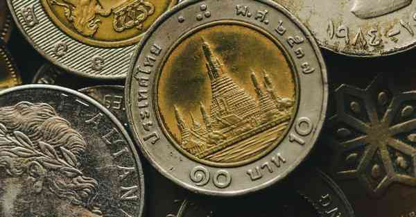 小成本网剧一般投资多少