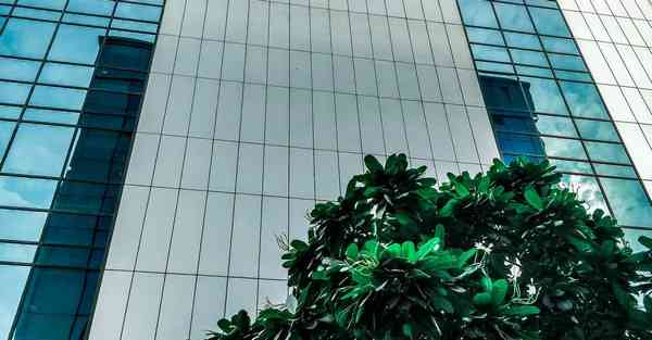 小成本网剧一般投资多少