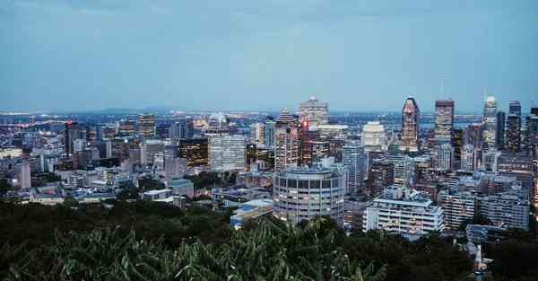 小成本网剧一般投资多少