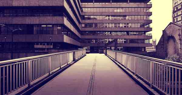 教育培养人才作文_教育培养人才方向