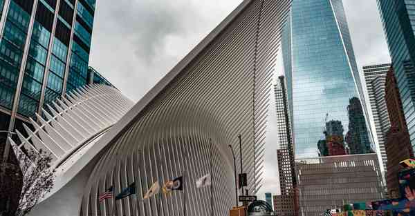 体育运动手抄报内容文字_体育运动手抄报内容文字简单