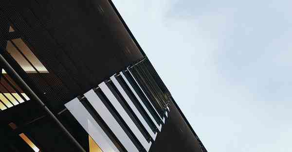 学校的宣誓_学校的画法