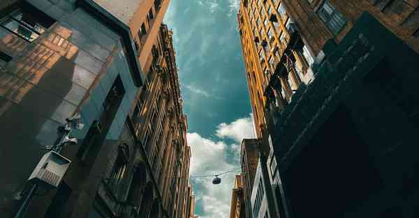 体育运动训练专业就业方向