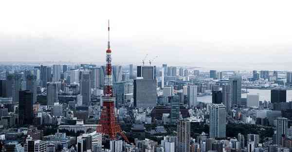 林业工人宣传片视频制作