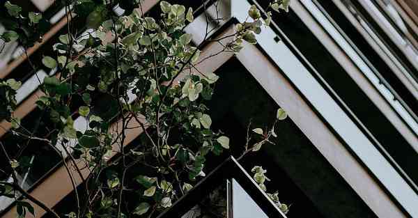 公司宣传文稿_公司宣传墙